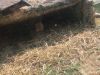 Filename=IMG_1488.jpg
Filesize=364KB
Dimensions=1800x1350
Date added=Aug 29, 2016 IMG_1488.jpg