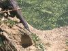 Filename=IMG_1492.jpg
Filesize=320KB
Dimensions=1800x1350
Date added=Aug 29, 2016 IMG_1492.jpg