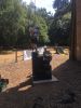 Filename=IMG_4384.jpg
Filesize=268KB
Dimensions=900x1200
Date added=Jul 22, 2018 IMG_4384.jpg