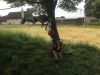 Filename=IMG_4208.jpg
Filesize=246KB
Dimensions=1400x1050
Date added=Jun 25, 2018 IMG_4208.jpg