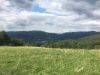 Filename=IMG_3138.jpg
Filesize=376KB
Dimensions=1800x1350
Date added=Sep 03, 2017 IMG_3138.jpg