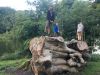Filename=IMG_2631.jpg
Filesize=410KB
Dimensions=1800x1350
Date added=Jul 30, 2017 IMG_2631.jpg