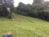 Filename=IMG_2862.jpg
Filesize=393KB
Dimensions=1800x1350
Date added=Jul 30, 2017 IMG_2862.jpg