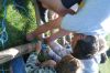 Filename=Dsc_0115.jpg
Filesize=151KB
Dimensions=968x648
Date added=Aug 06, 2010 Dsc_0115.jpg