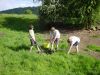 Filename=bulldogs-wet-dry-pit.jpg
Filesize=257KB
Dimensions=960x720
Date added=May 30, 2009 bulldogs-wet-dry-pit.jpg