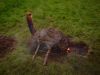 Filename=camp-oven-in-use.jpg
Filesize=199KB
Dimensions=960x720
Date added=May 30, 2009 camp-oven-in-use.jpg