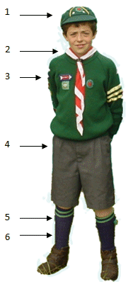 cub uniform