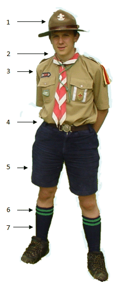 Scout Uniform Shorts 88